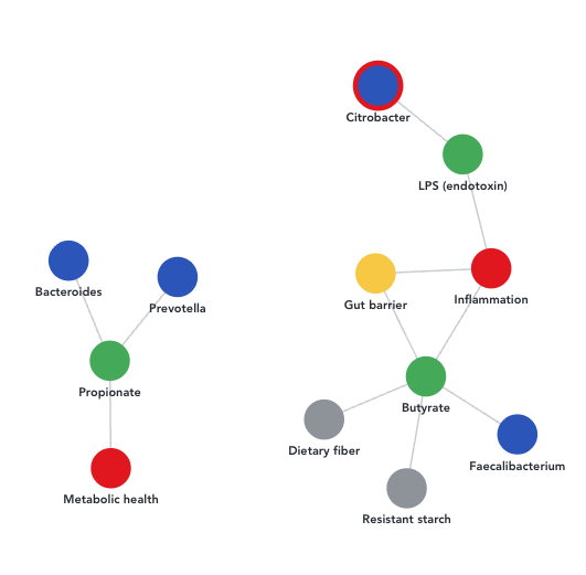 DigitalGut interactive knowledge graph of microbes and conditions
